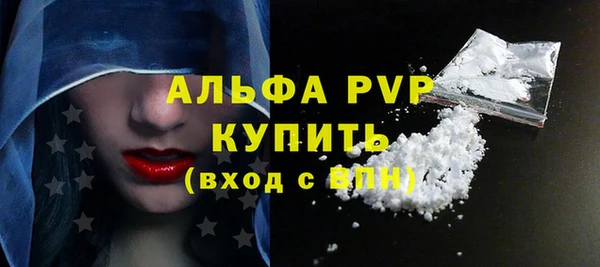 индика Краснотурьинск