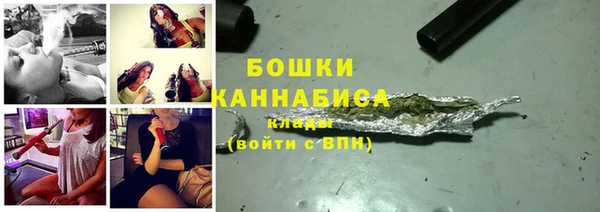 индика Краснотурьинск