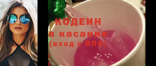 индика Краснотурьинск