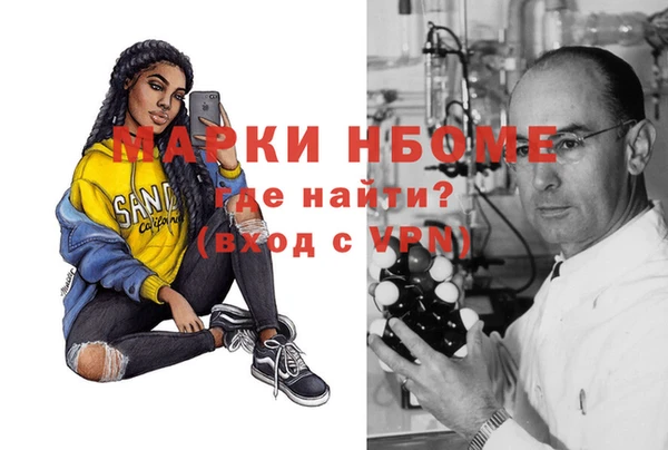индика Краснотурьинск