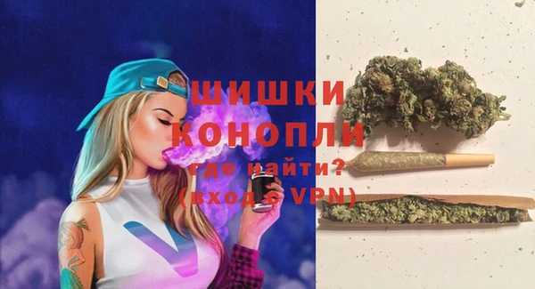 индика Краснотурьинск