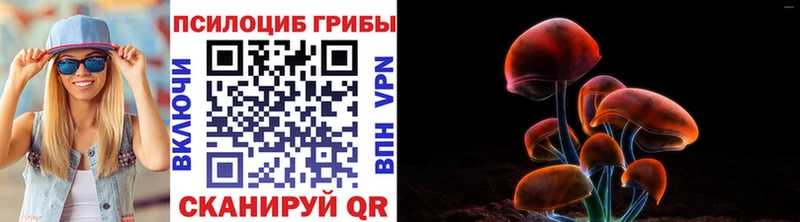 Псилоцибиновые грибы Magic Shrooms  Купить закладки  Вичуга 